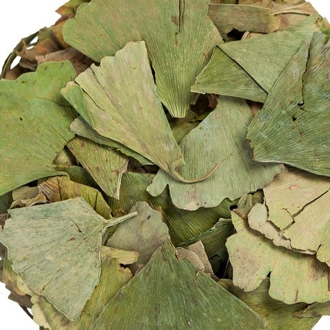 Гинкго билоба лист сушёный